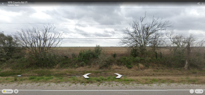 COUNTY ROAD 171 OFF TX. Brazoria, TX