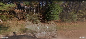 Fairmont Ave Coldspring, TX 77331