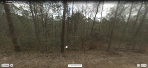 121 Jesse Lane Dr, Point Blank, TX 77364