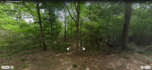 17261 FM 2090, Conroe, TX 77306