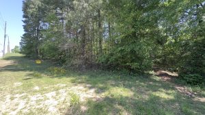 2821 Lake Rd, Hunstville, TX 77340