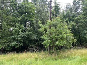 246 Lakeland Rd, Hunstville, TX 77320